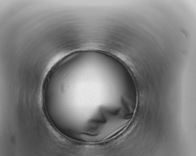 X0000115141469200911101657