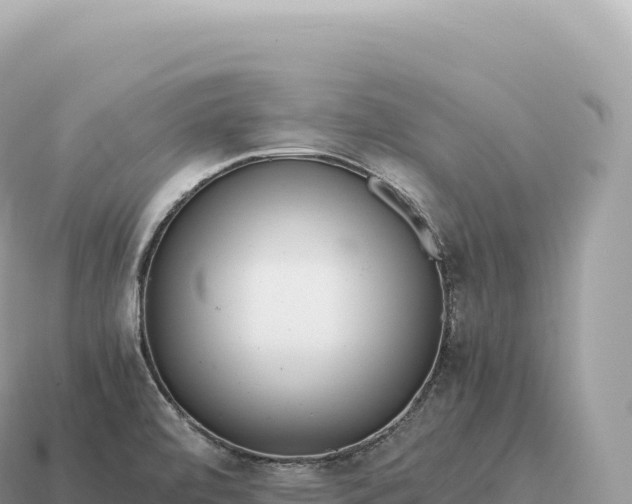 X0000115141472200911101657