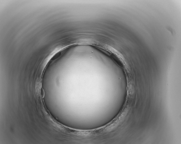 X0000115141473200911101657