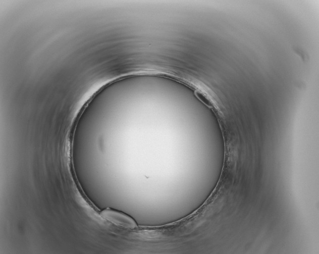 X0000115141476200911101657