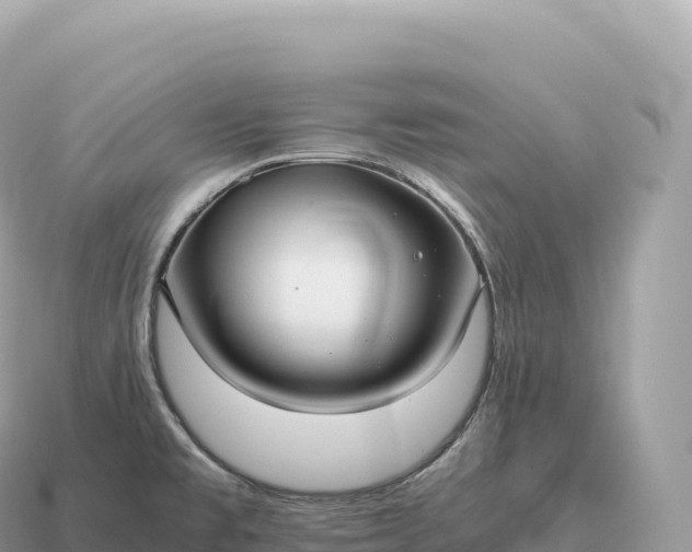 X0000115141477200911101657