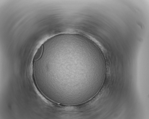 X0000115141479200911101657