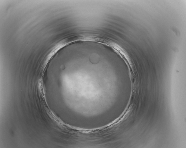 X0000115141481200911101657