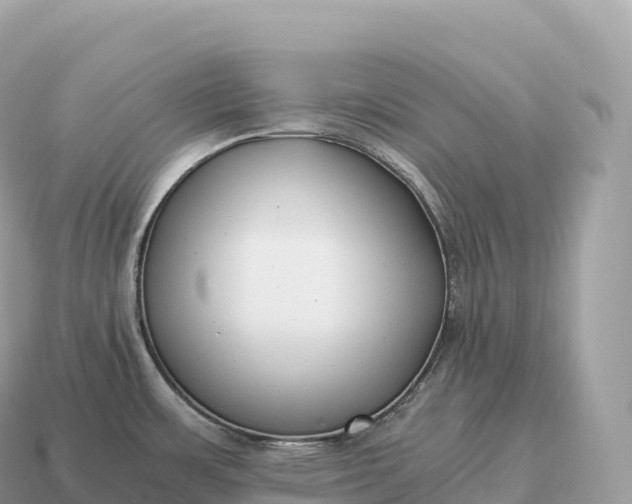 X0000115141483200911101657