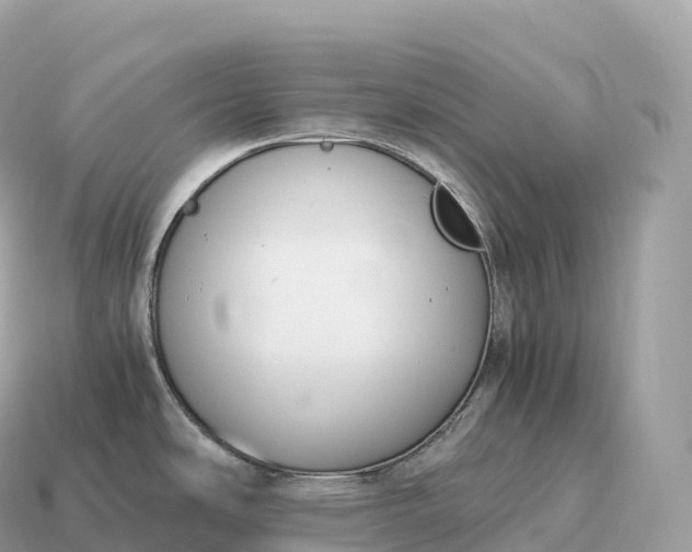 X0000115141486200911101657