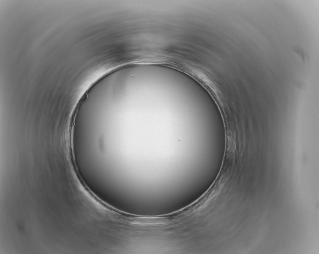 X0000115141487200911101657