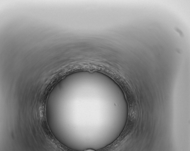 X0000115141490200911101656