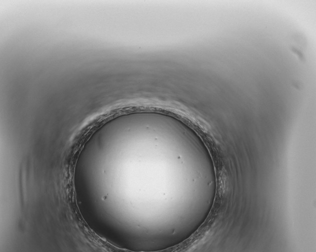 X0000115141494200911101656