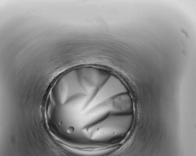 X0000115141497200911101656