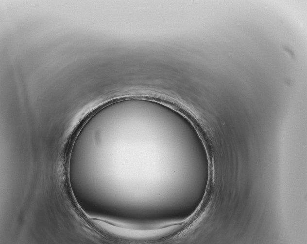 X0000115141501200911101656