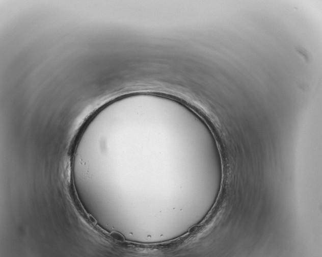 X0000115141509200911101657
