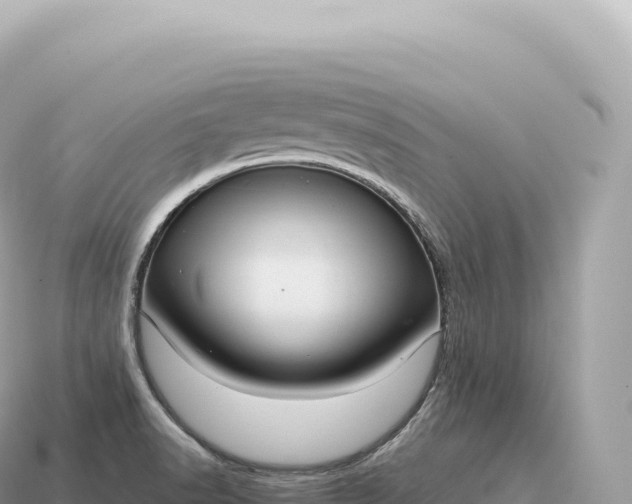 X0000115141518200911101657