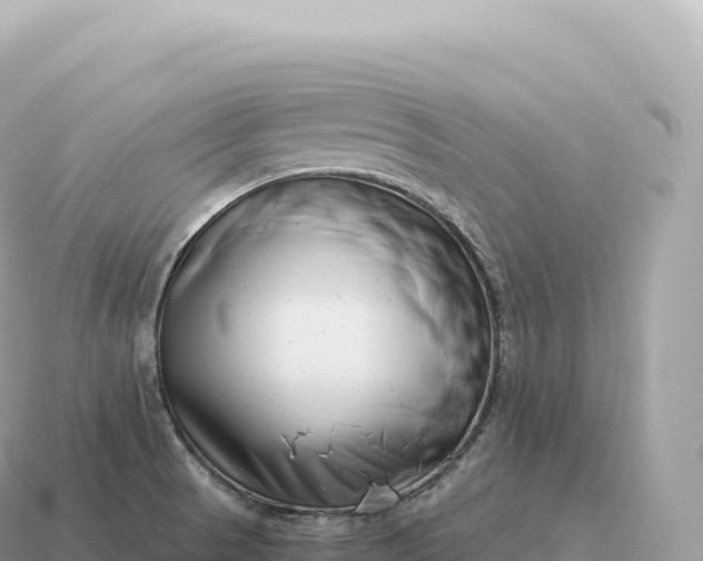 X0000115141521200911101657