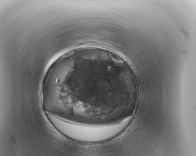 X0000115141522200911101657