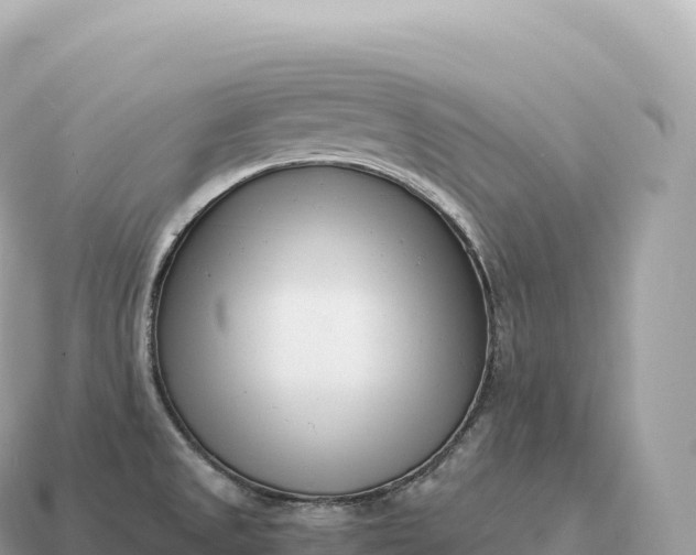 X0000115141525200911101657