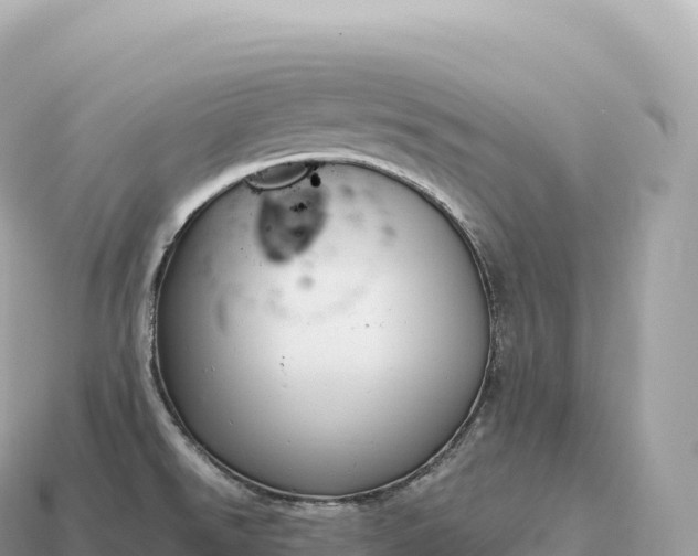 X0000115141526200911101657