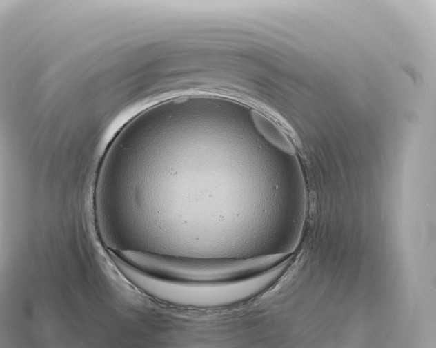X0000115141530200911101657
