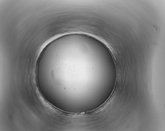 X0000115141534200911101657