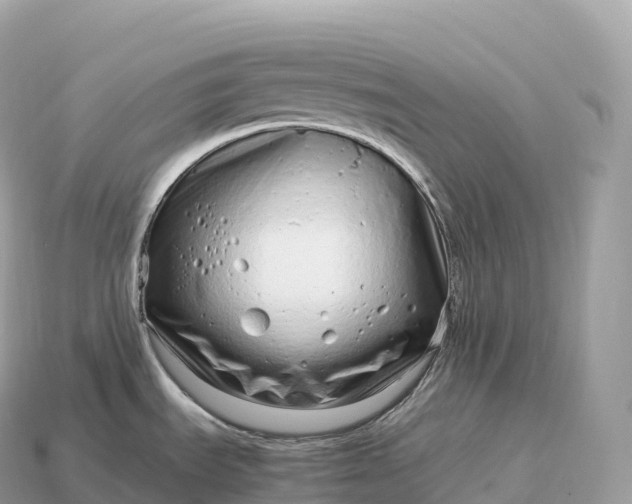 X0000115141535200911101657