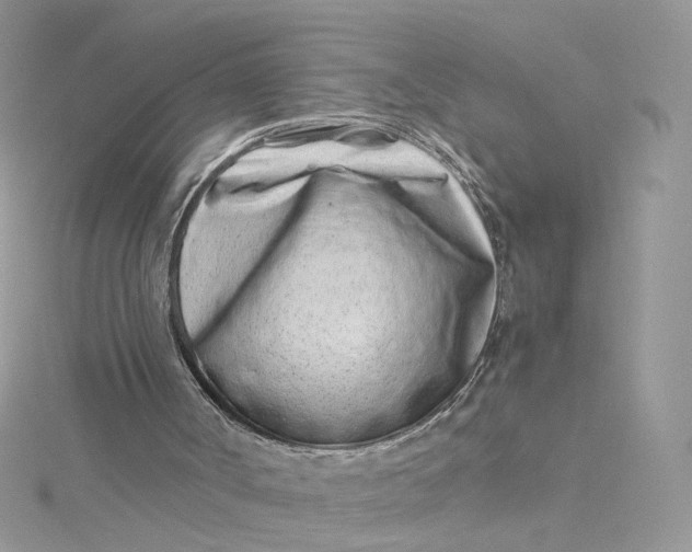 X0000115140002200911171230