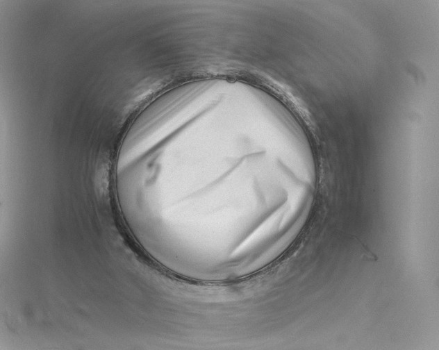 X0000115140010200911171229