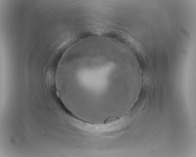 X0000115140043200911171229