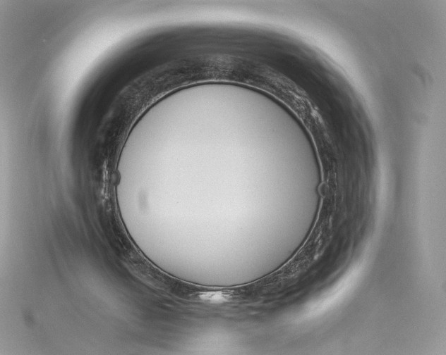 X0000115140050200911171228
