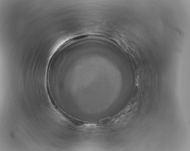 X0000115140052200911171228
