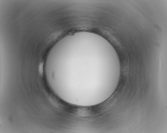 X0000115140070200911171229
