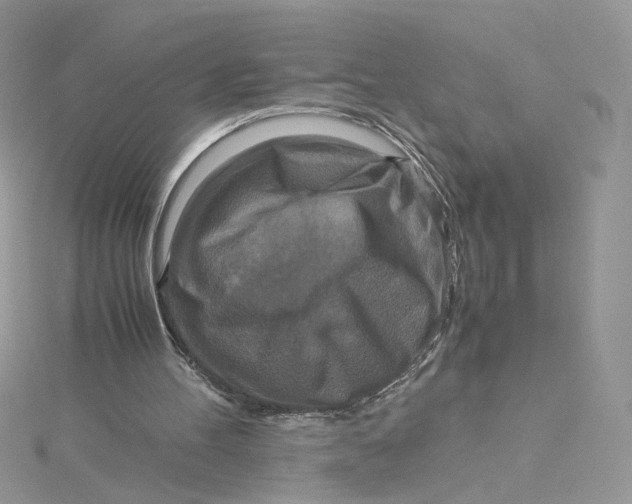 X0000115140100200911171228