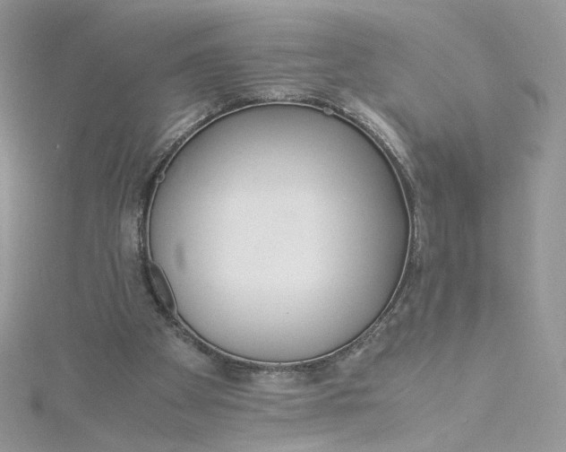 X0000115140105200911171228