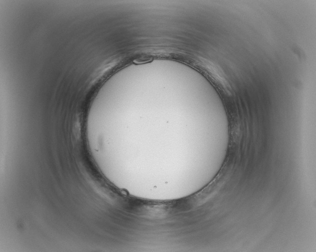 X0000115140120200911171228