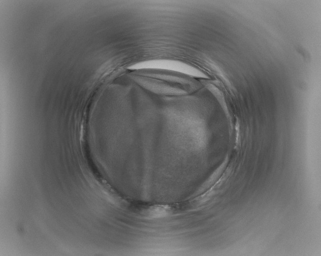 X0000115140124200911171228