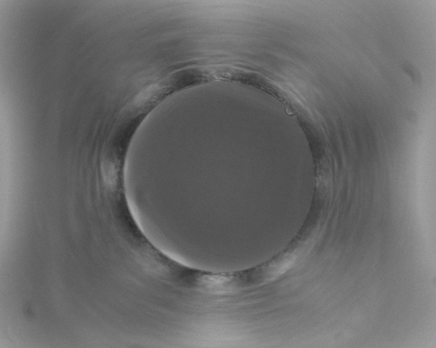X0000115140139200911171228
