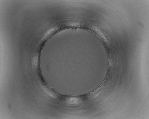 X0000115140163200911171227