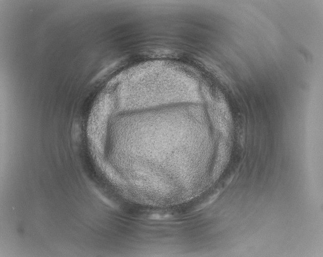 X0000115140165200911171227