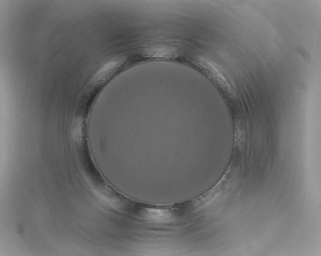 X0000115140167200911171227