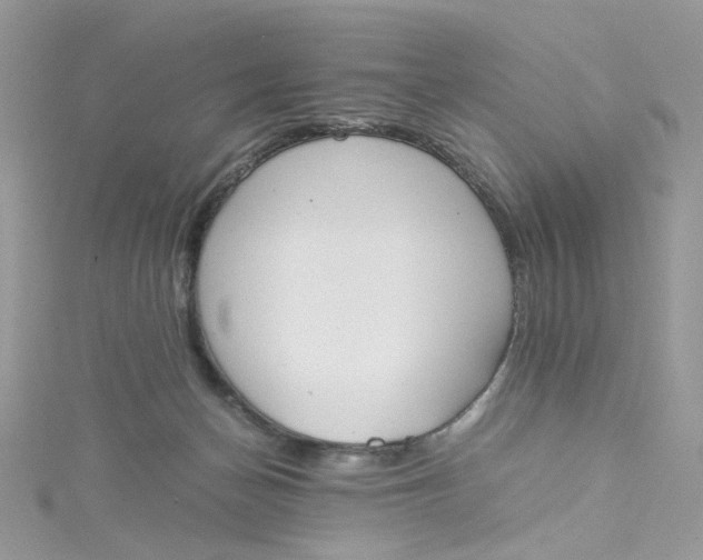 X0000115140174200911171227