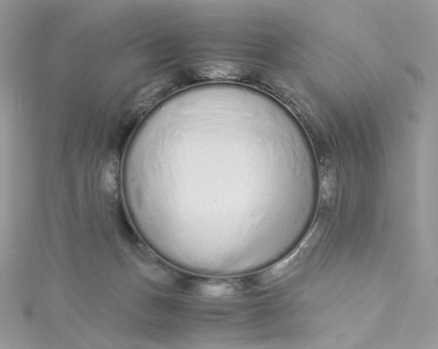 X0000115140175200911171228