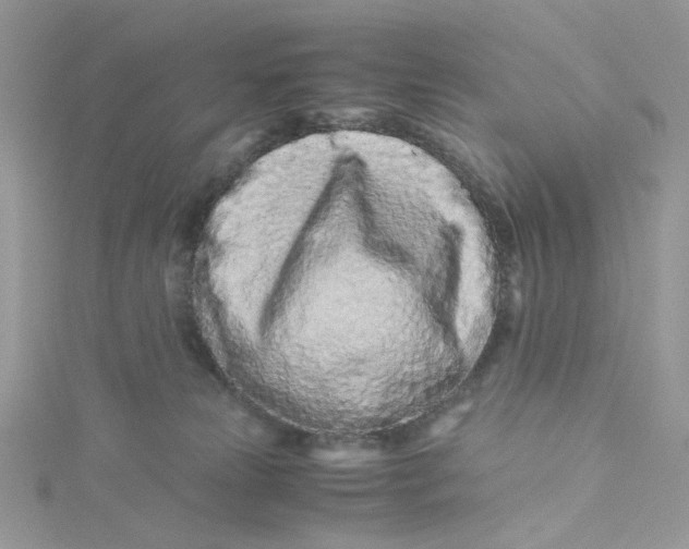 X0000115140181200911171228