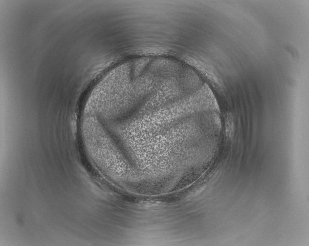 X0000115140206200911171227