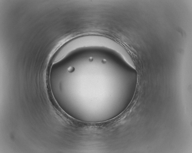 X0000115140244200911171226