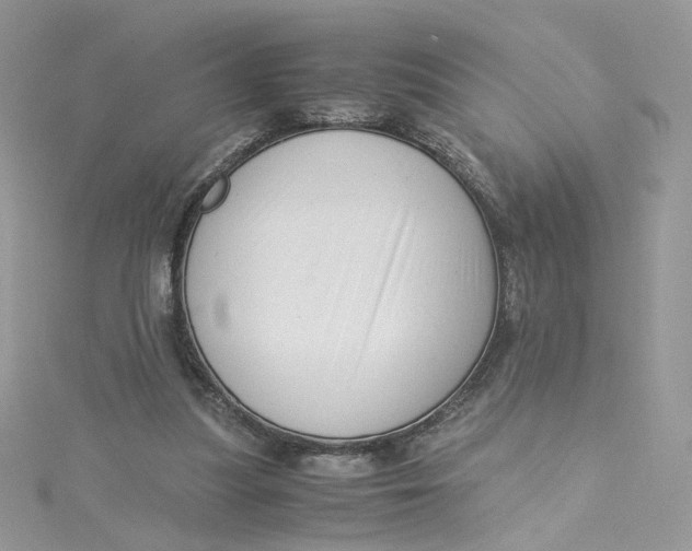 X0000115140251200911171226
