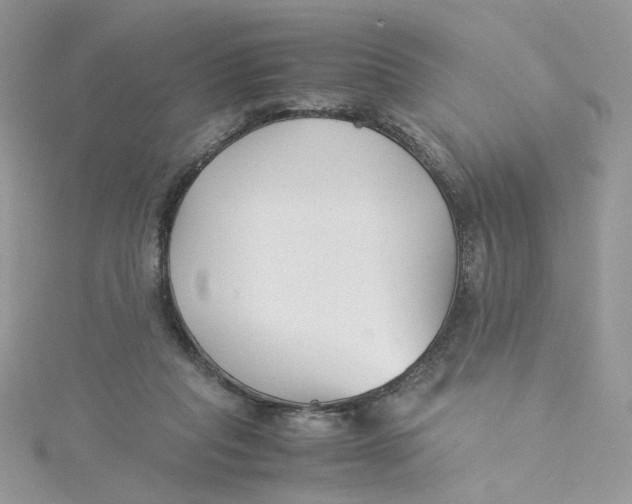 X0000115140261200911171226