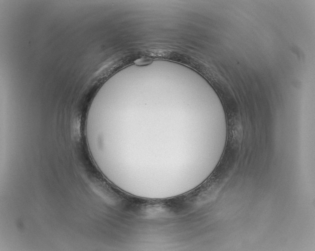 X0000115140262200911171226