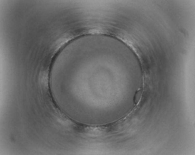 X0000115140297200911171226