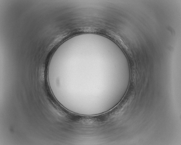 X0000115140299200911171226