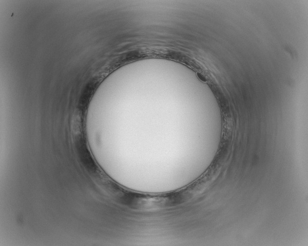 X0000115140323200911171225