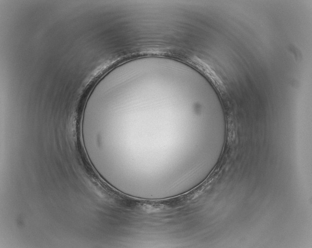 X0000115140346200911171225