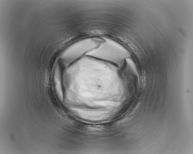 X0000115140359200911171225